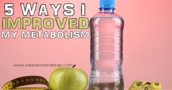 5 Ways I Improved My Metabolism Weed Em and Reap