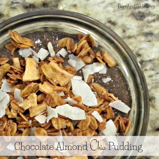 Chocolate Almond Chia Pudding Love Grown Foods Apple Walnut Granola