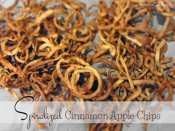 Spiralized Cinnamon Apple Chips Barr & Table